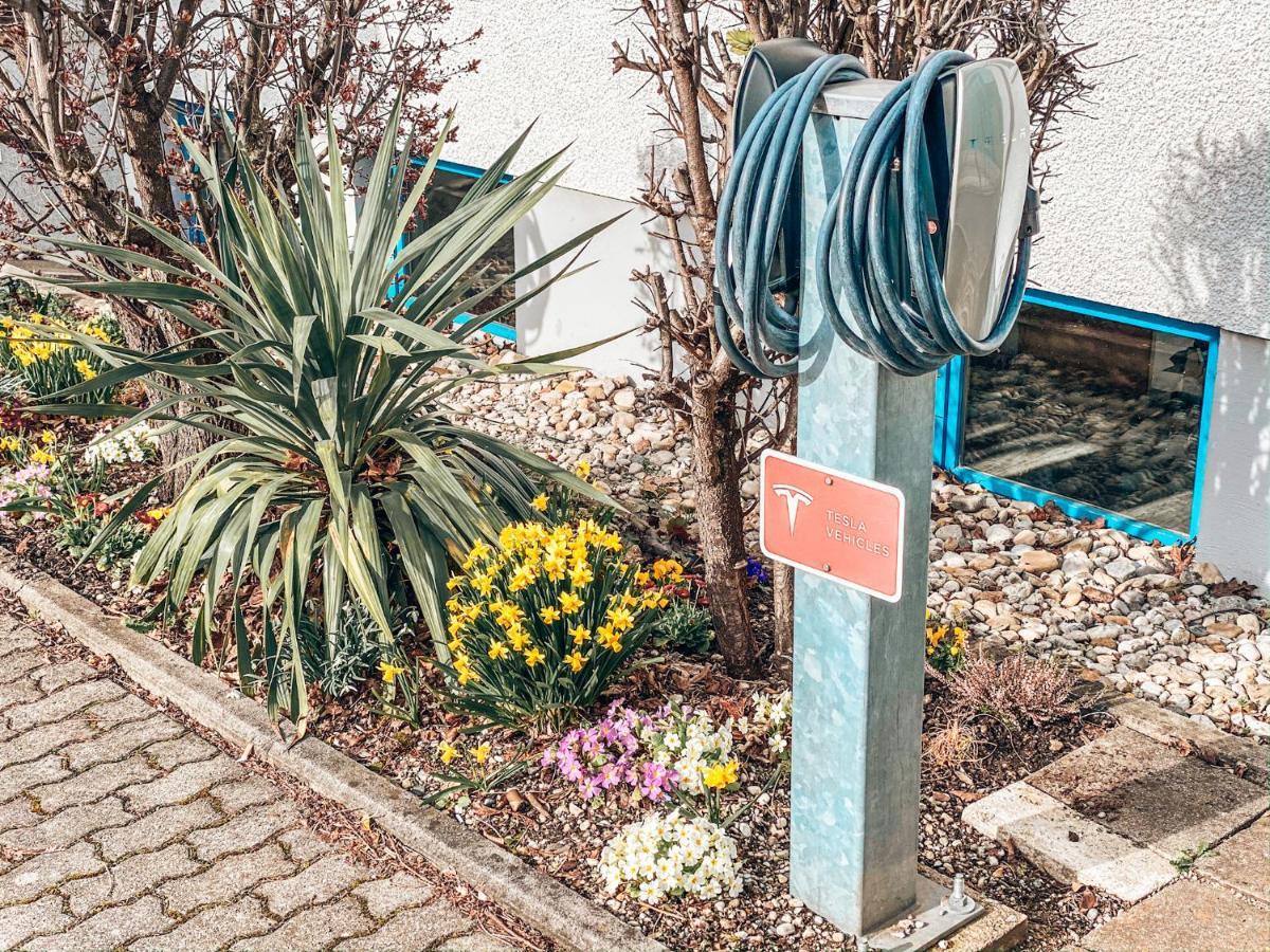 Schwertfirm 3*